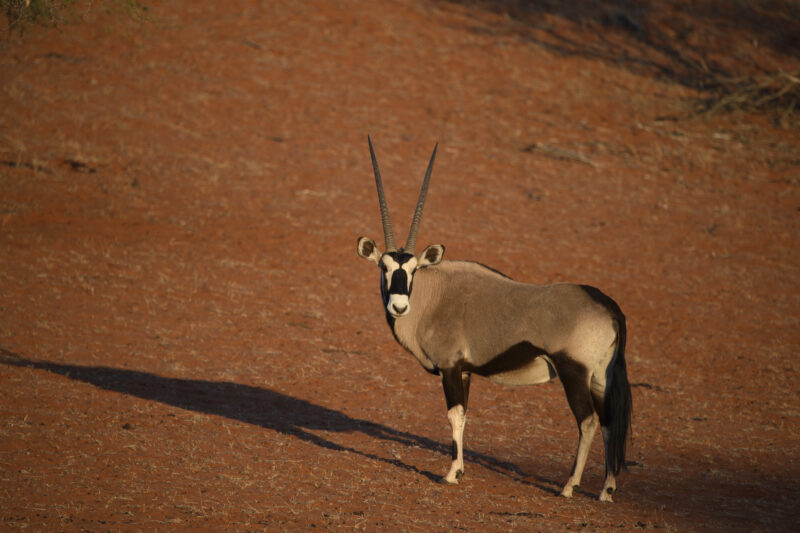 Travel Namibie 11